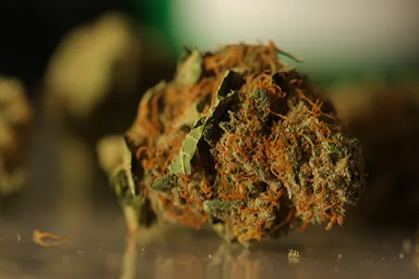 Pot Prices Double as Colorado Retailers Roll Out Green Carpet