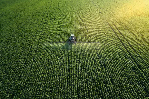 An Uncertain Crop Season