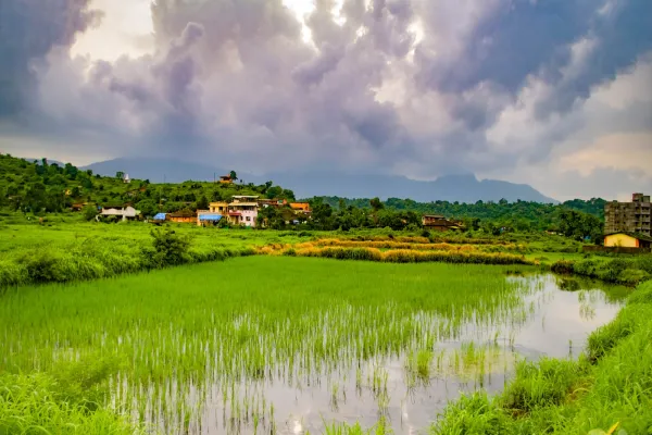 Countryside of Maharashtra in Peak Monsoon Season...