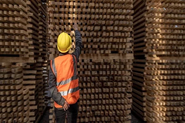 Is the Lumber-Gold Ratio Signaling Caution for Markets?