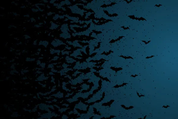bats