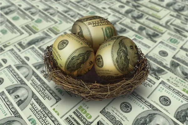 egg shaped money in nest on dollar background