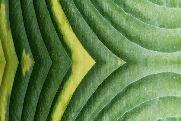 Fidelity Investments How endowments and foundations can align investment Lead Image