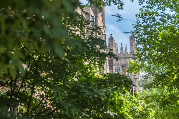 Yale’s Potential PE Sale Won’t Solve Liquidity Challenges