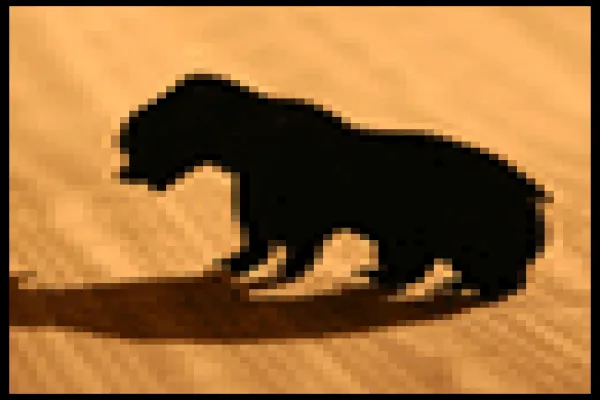 bear-market.gif