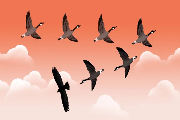 Illustration by Yarek Waszul.