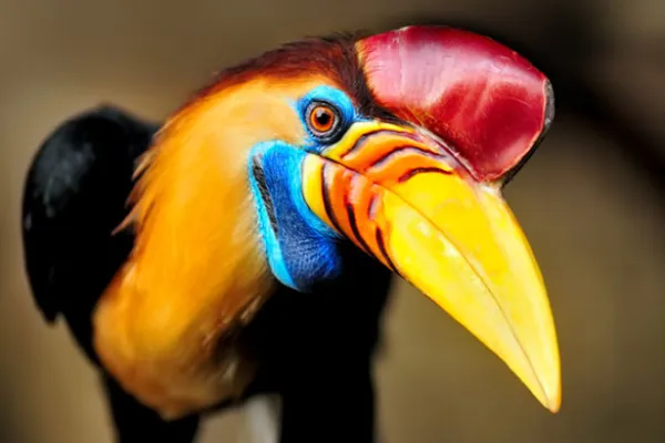 Discern and Diversify