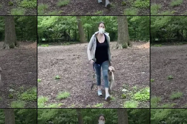 A screenshot from the cell phone video of Amy Cooper. (via Twitter)