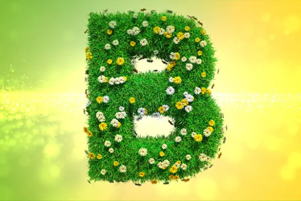 Aegon Asset Management