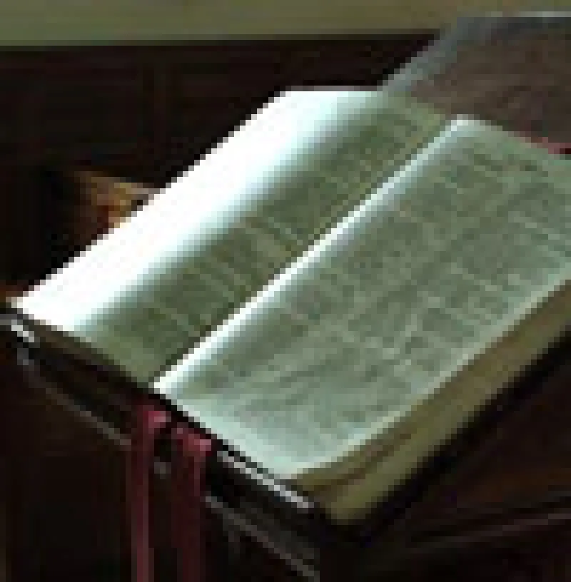 100x102bible.jpg