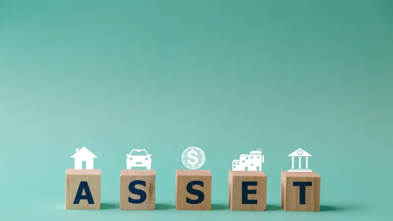 Assets