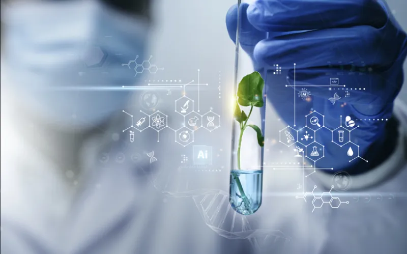 Scientist used biotechnology, ai technology, and dna plant in tube of scientific lab for medical research and Plant genetics development in Food industry. science chemistry in laboratory - stock photo