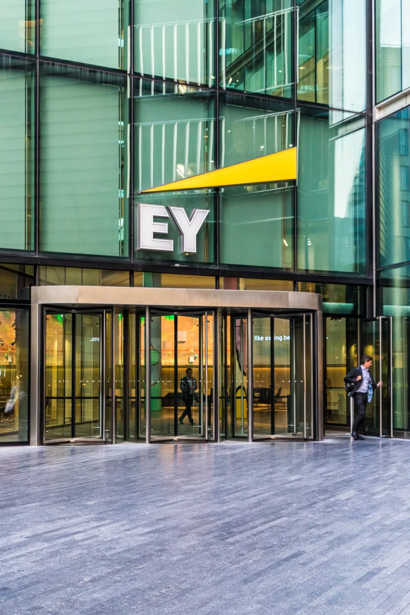 Diana K. Winalski Recently Joined EY Americas as Deputy Chief Investment Officer