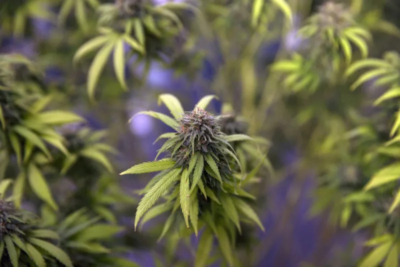 (Luke Duggleby/Bloomberg)