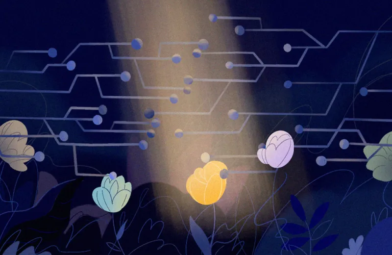 Illustration by Dane Florence 