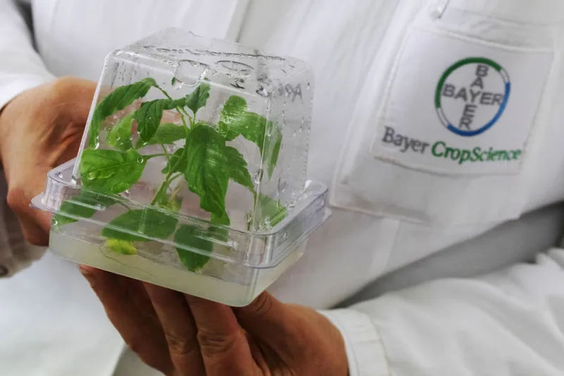 (Alex Kraus/Bloomberg)