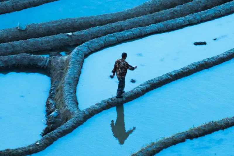 S&P Dow Jones Indices