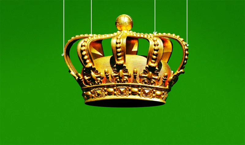 Illustrations by Nicolas Ortega 