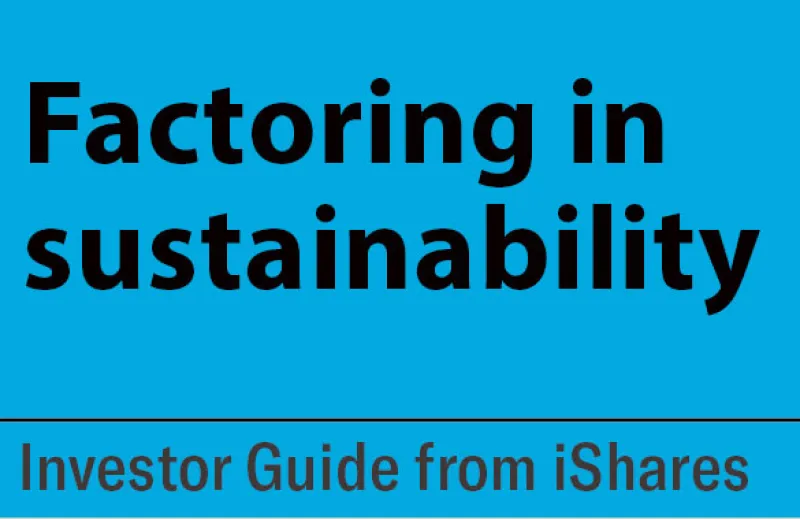 Factoring in sutainability