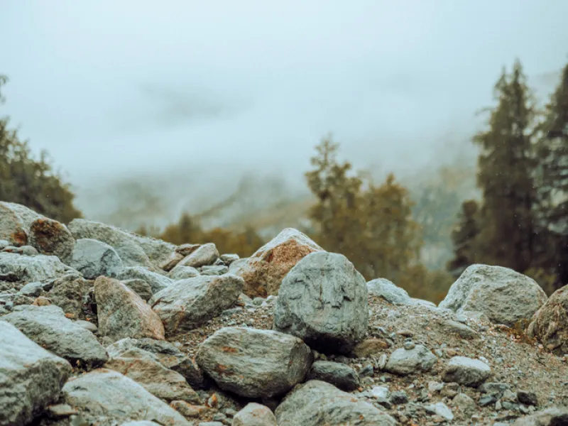 Close up of a forest floor and textures on a mountain footpath.