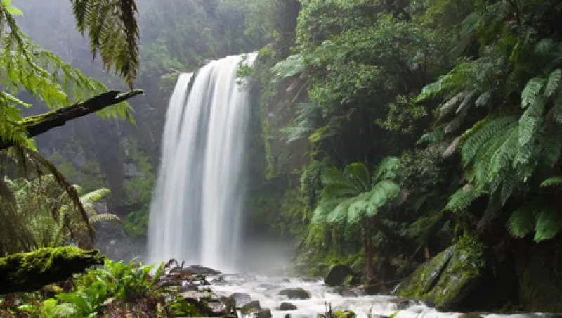 hopetoun-falls-large.jpg