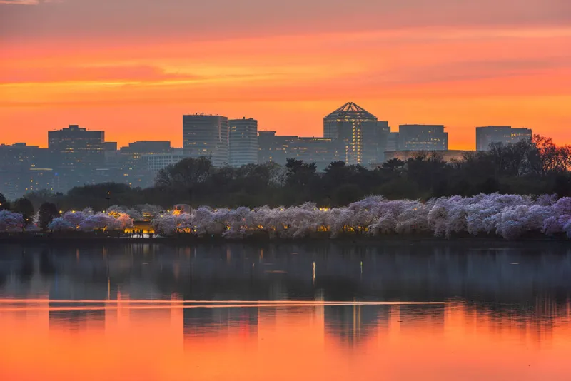 EJF is headquarters in Arlington, Virginia. (Bigstock photo)