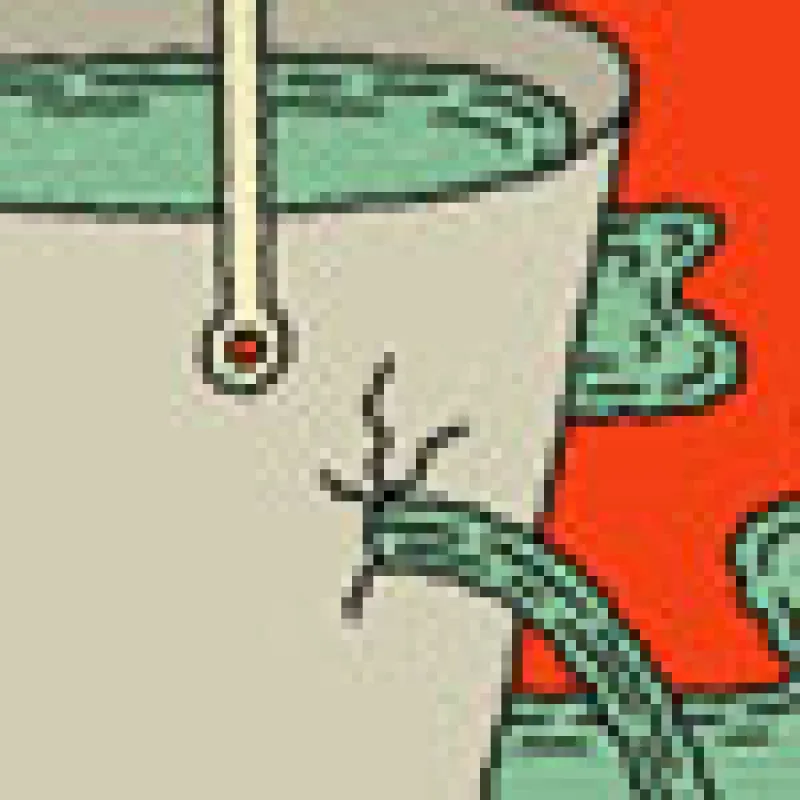 th-inside-the-trade-water.jpg