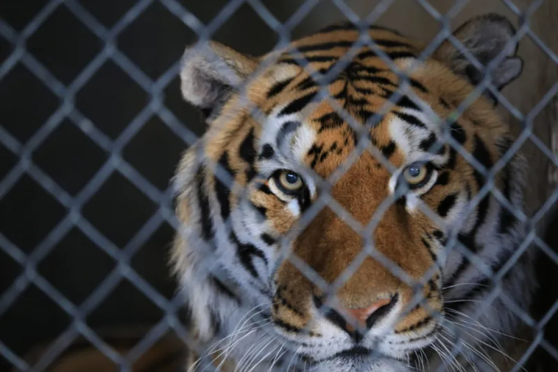 Matthew Staver/Bloomberg