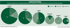 07-in-cap-green-shoots-article-page-1.jpg