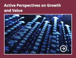 Active Perspectives on Growth