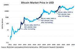 Bitcoin Market Price USD.png